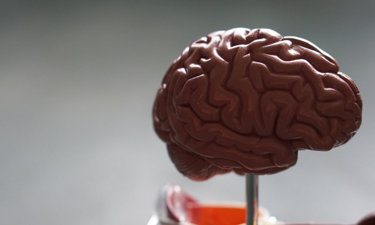 Brain Fog