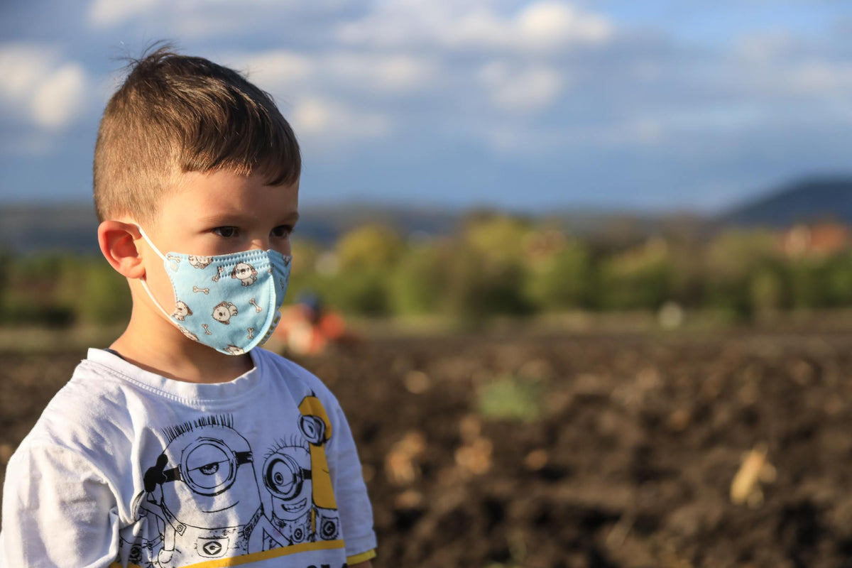 Boosting The Immune System